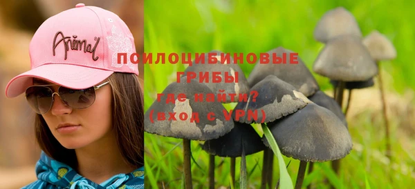 сатива Белоозёрский