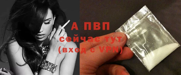 сатива Рославль