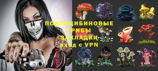сатива Белоозёрский