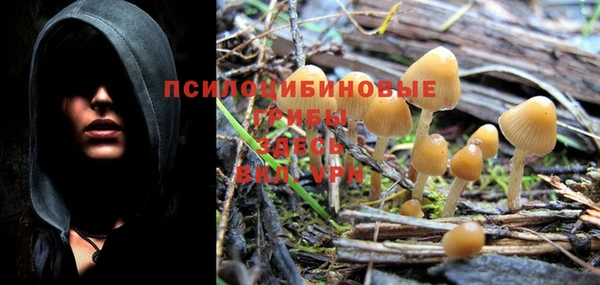 мяу мяу мука Богородицк